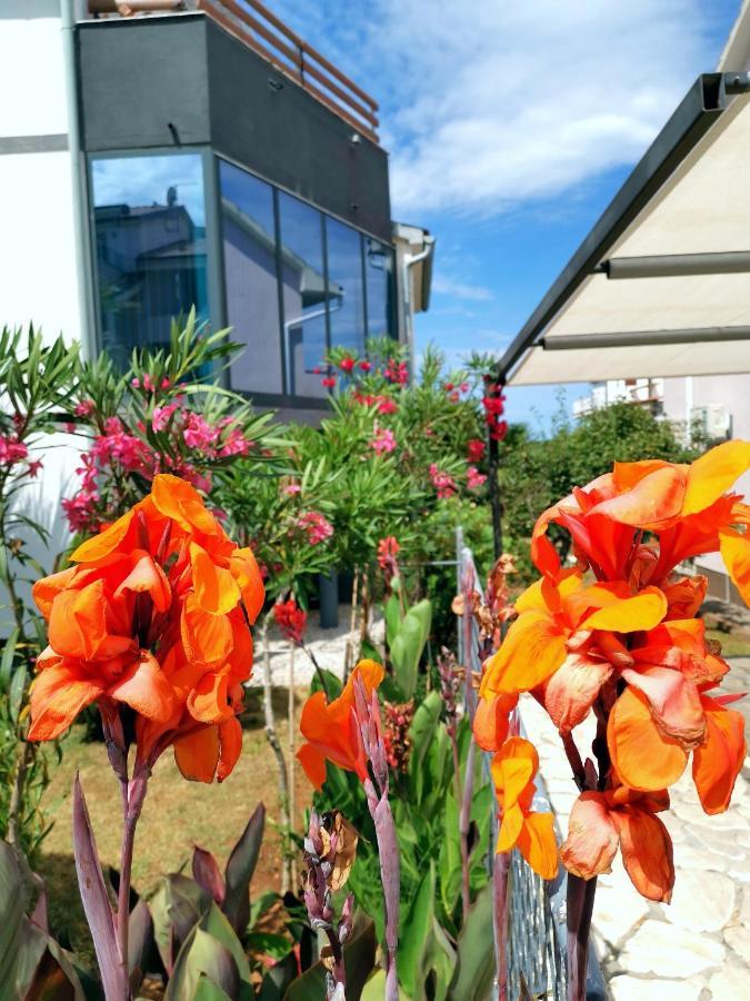 Apartmani Andrea Pula Dış mekan fotoğraf