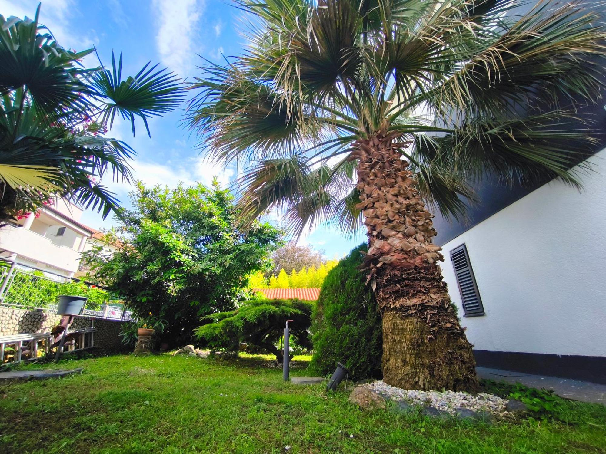 Apartmani Andrea Pula Dış mekan fotoğraf